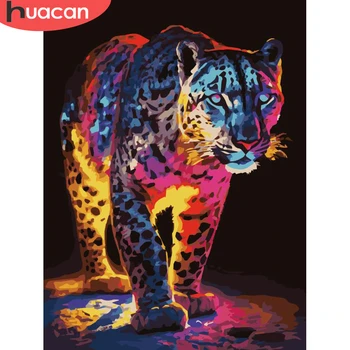 HUACAN תמונה על ידי מספרים צבעוניים נמר חיה ציור על בד DIY מתנה ציור שמן Handpainted קישוט הבית 40x50cm