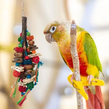 אכיל פיגמנטים ציפור צעצוע צבעוני טבעי אדמונית ציפור צעצועים ללעיסה בקיעת שיניים מתחים עבור תוכים ציפורים כדי להקל על