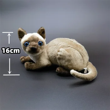 16cm חתול סיאמי 